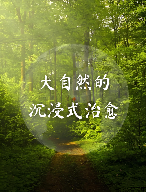 森林康养